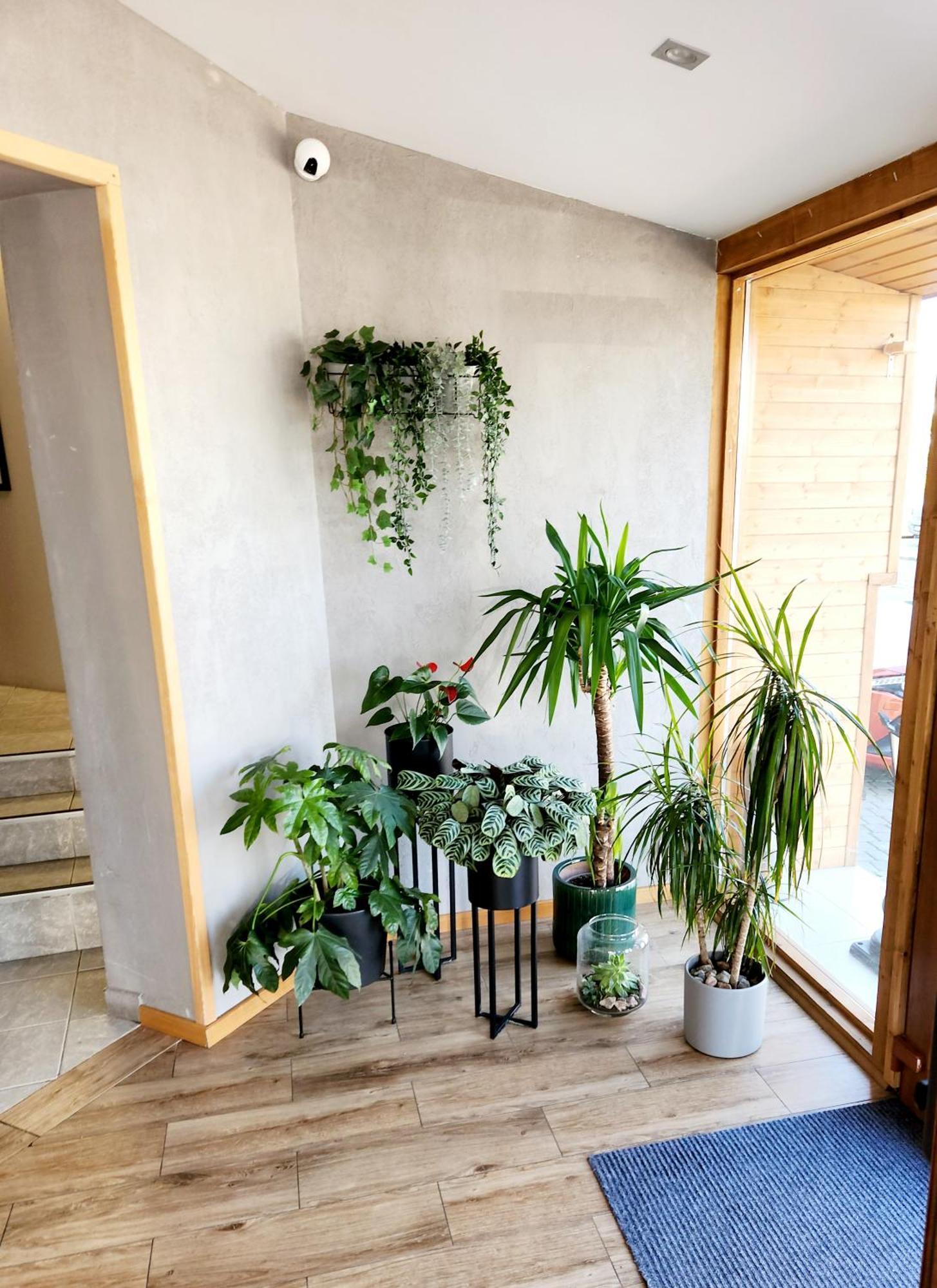Bed and breakfast Royal Gdańsk Extérieur photo